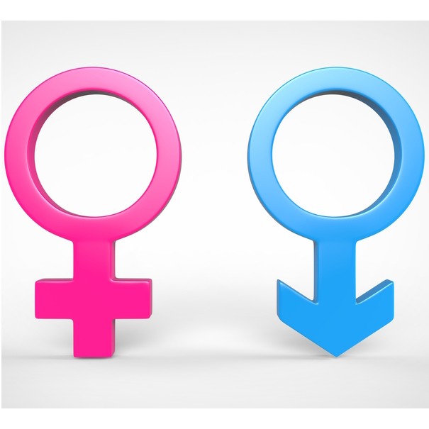 female and male symbols