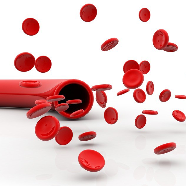 illustration of vein with red blood cells