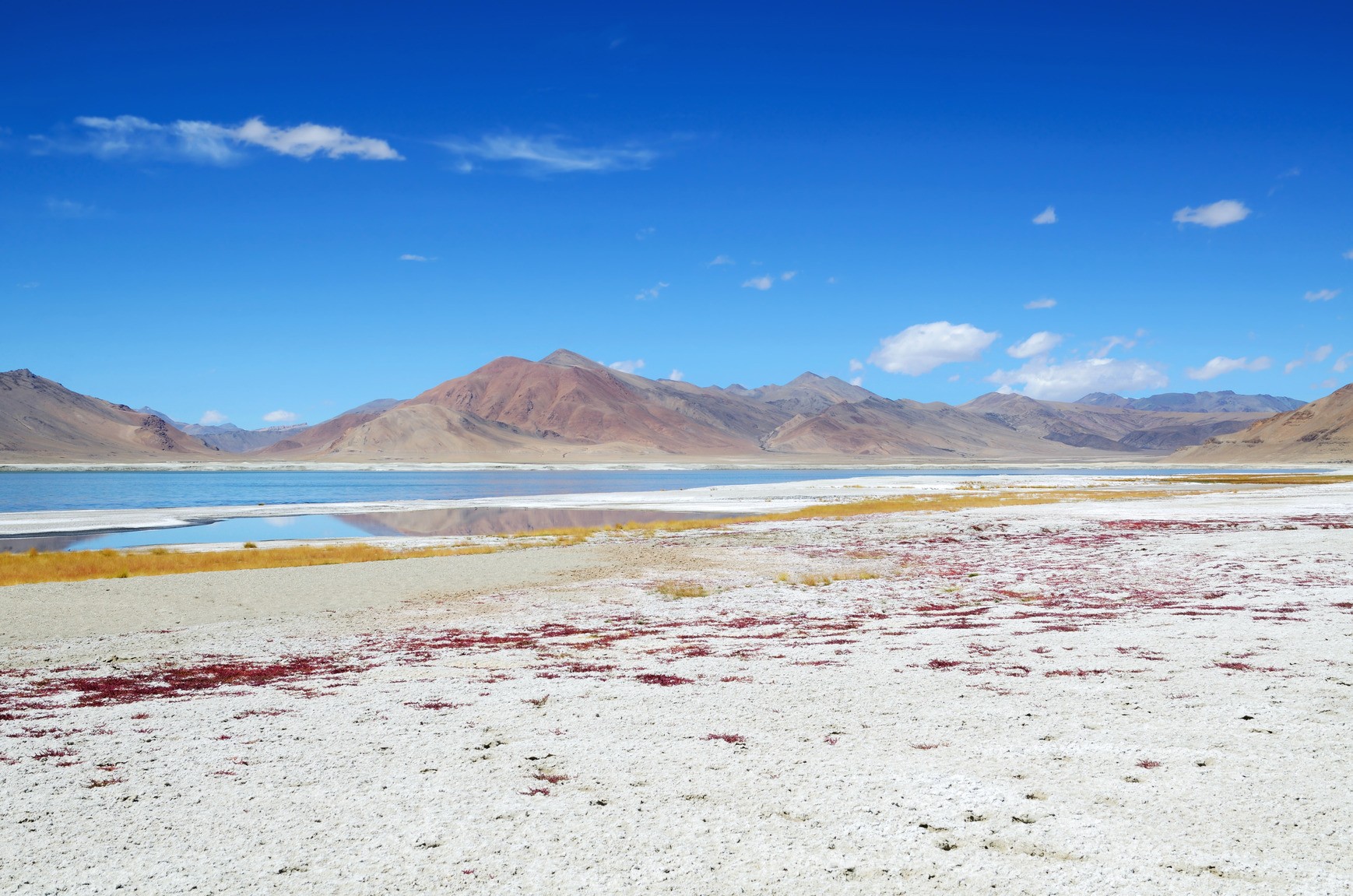 trace minerals from salt lake