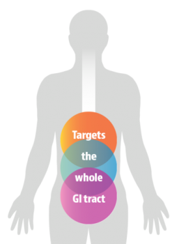 Thera-blend targets the whole GI tract